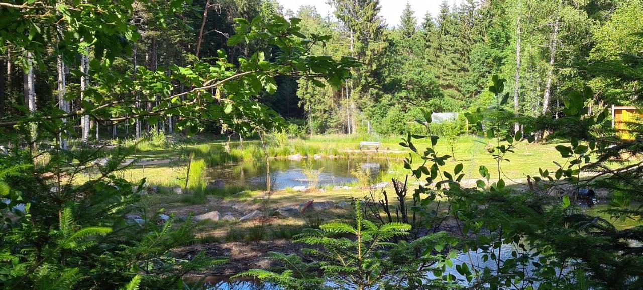 Les Saules Et Les Charmes