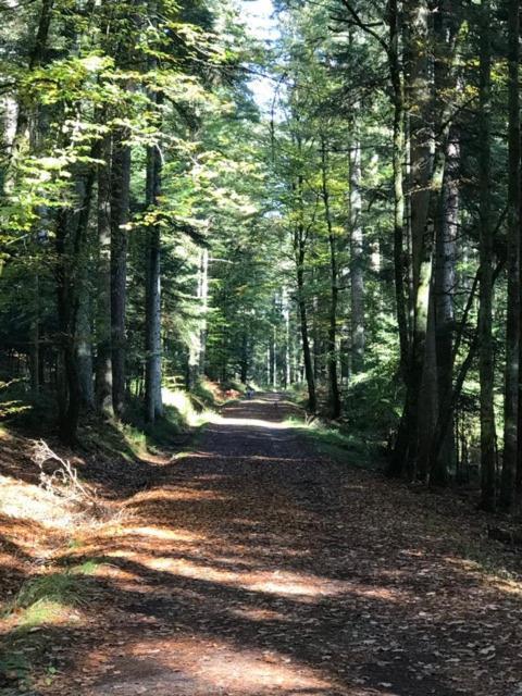 Les Saules Et Les Charmes Holiday home Saint-Remy (Vosges)